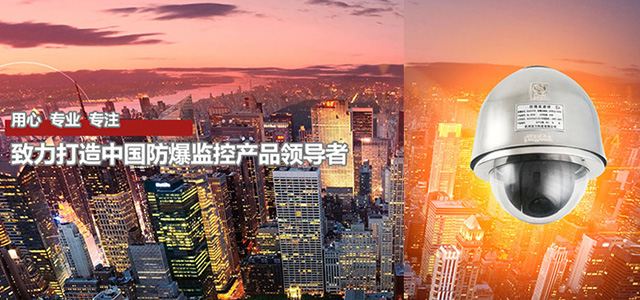 防爆其他